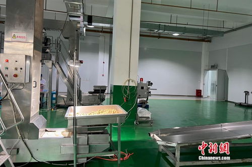 萬千氣象看云南丨從一顆核桃開始，在西南邊陲探索“一縣一業(yè)”熱能產(chǎn)品研發(fā)